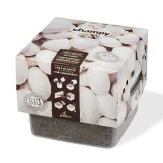 Kit Huerto Urbano “Champy”