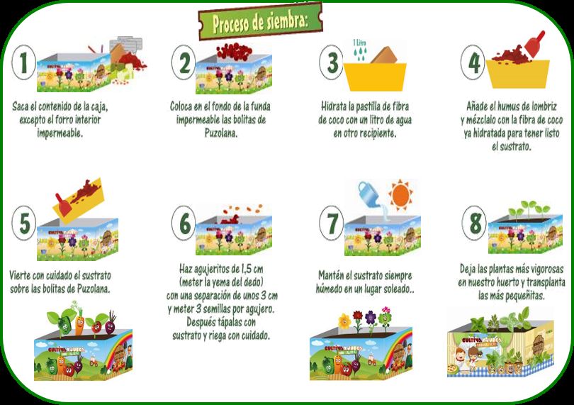 Cultiva y juega hortalizas