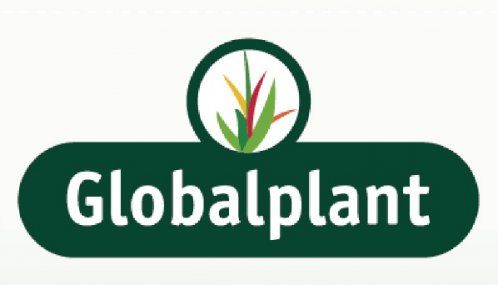 marca globalplant